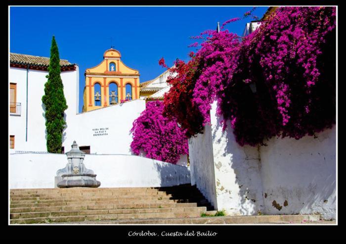 Centro Historico Cristo De Los Faroles La Preferida Córdoba Eksteriør billede